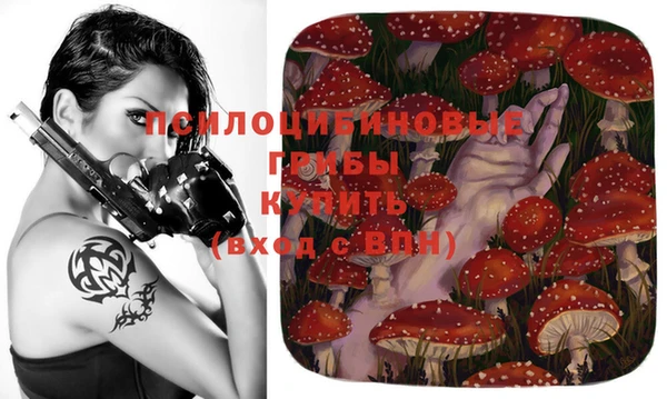 каннабис Алексин