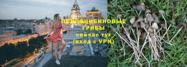 стафф Алексеевка
