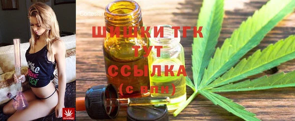 дживик Абинск
