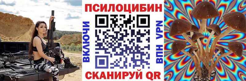 Галлюциногенные грибы Magic Shrooms  где купить наркотик  кракен маркетплейс  Морозовск 