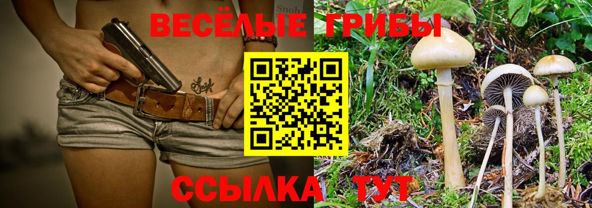 Псилоцибиновые грибы Psilocybe  Галлюциногенные грибы Cubensis  Вход с VPN  Морозовск 